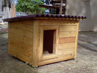 project