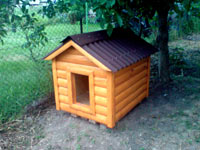 project