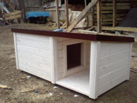 project